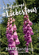 Lade das Bild in den Galerie-Viewer, Liebestour