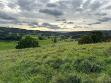 Lade das Bild in den Galerie-Viewer, Karst Osterode
