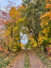 Lade das Bild in den Galerie-Viewer, Brockenbande-Tour Wettelrode (Kindertour)