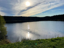 Lade das Bild in den Galerie-Viewer, Tinas Teich Tour