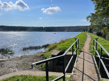 Lade das Bild in den Galerie-Viewer, Tinas Teich Tour