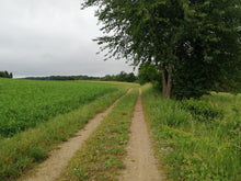 Lade das Bild in den Galerie-Viewer, Römerstein Tour