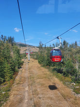 Lade das Bild in den Galerie-Viewer, Wurmbergtour