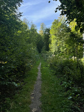 Lade das Bild in den Galerie-Viewer, Einhorntour (Kindertour)