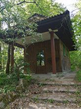 Lade das Bild in den Galerie-Viewer, Kuckanstal Tour 2.0 *NEU*