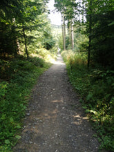 Lade das Bild in den Galerie-Viewer, Liebestour