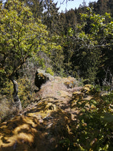 Lade das Bild in den Galerie-Viewer, Kuckanstal Tour 2.0 *NEU*
